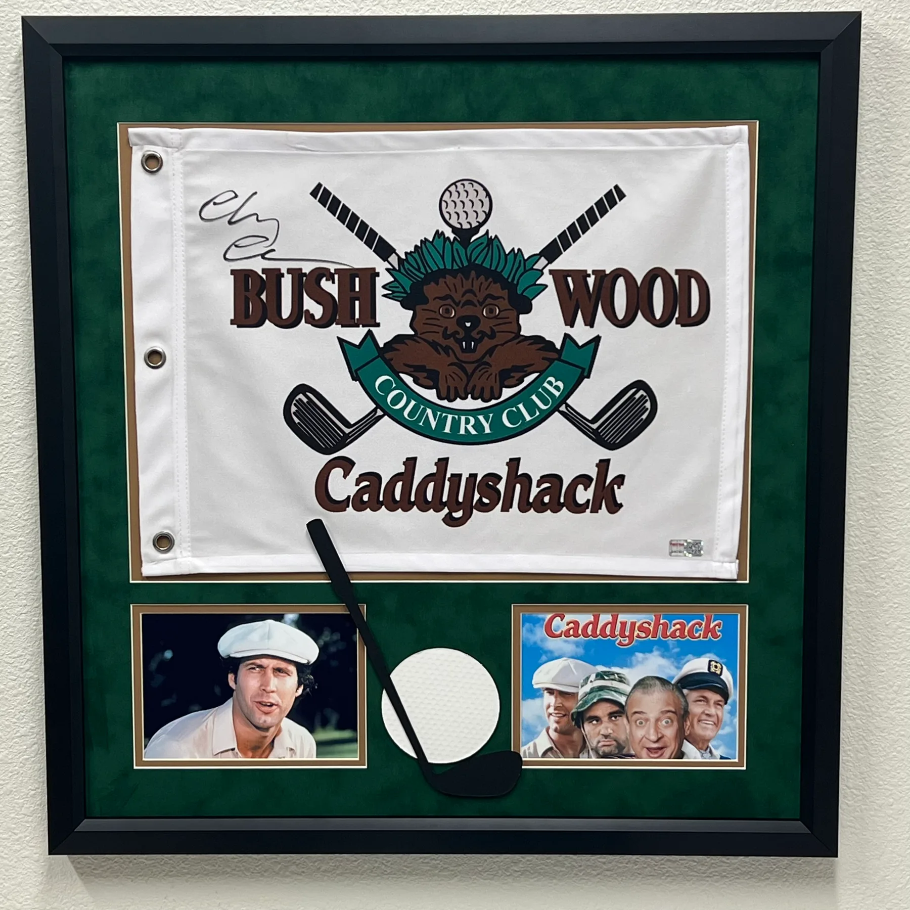 Flag Framing 1